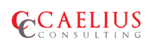 Caelius Consulting: Your Trusted Partner To Lead In The Digital Age